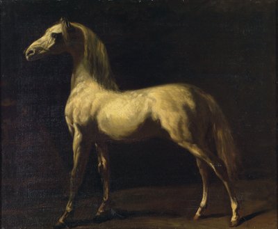 Een staand paard door Theodore Gericault